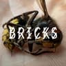 Bricks cover