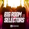 Big Room Selectors, 11 cover