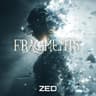 FRAGMENTS cover
