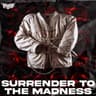 SURRENDER TO THE MADNESS cover