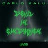 Devil in Eindhoven cover