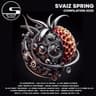 Svaiz Spring Compilation 2025 cover