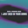 (I Just) Died In Your Arms cover