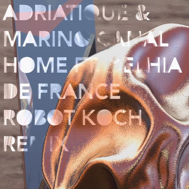 Cover Image of release - Home (Robot Koch Remix)