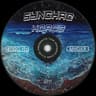 Synchro kords cover