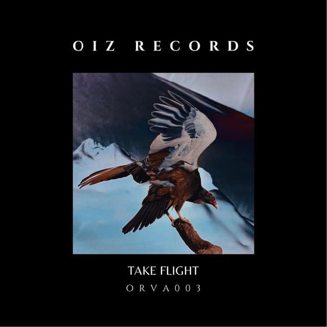 Cover Image of release - TAKE FLIGHT