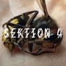 SEKTION 4 cover
