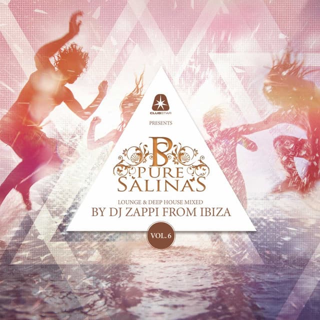 Cover Image of release - Pure Salinas, Vol. 6 (Compiled by DJ Zappi)