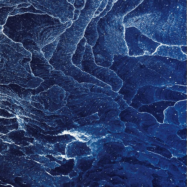 Cover Image of release - Various Artists