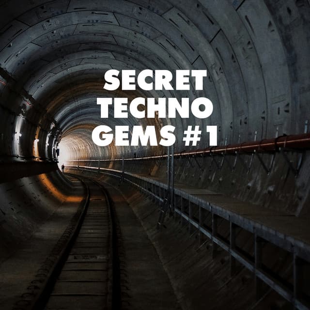 Image of Secret Techno Gems #1