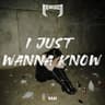 I Just Wanna Know cover