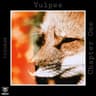 Vulpes Chapter One cover