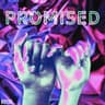 Promised cover