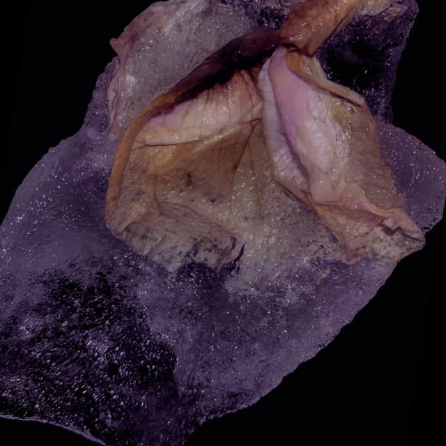 Cover Image of release - COURTOISYD03