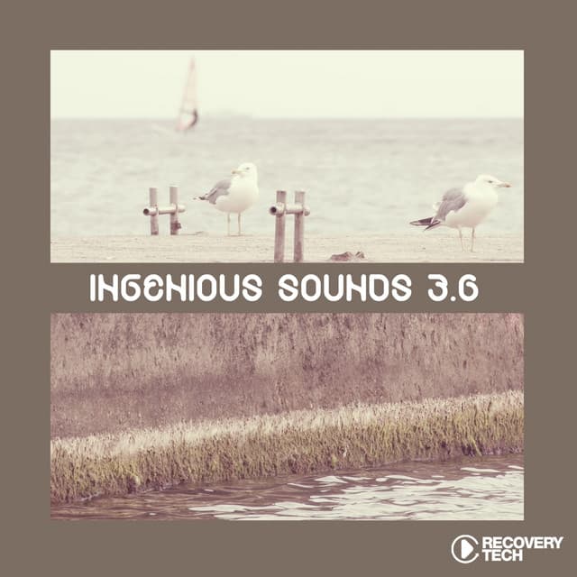 Cover Image of release - Ingenious Sounds, Vol. 3.6