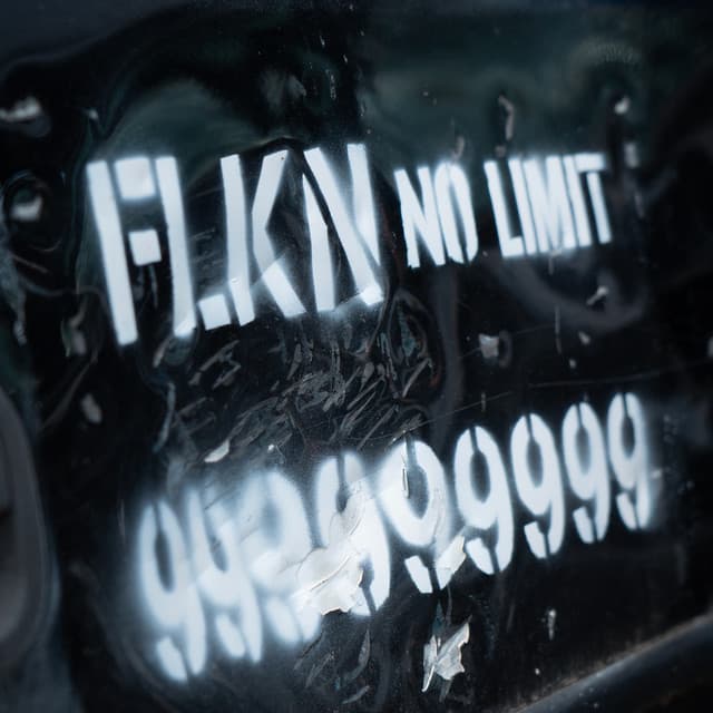 Cover Image of release - No Limit
