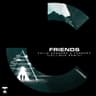 Friends (Lollibus Remix) cover