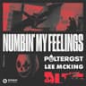 Numbin' My Feelings cover
