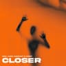 Closer cover