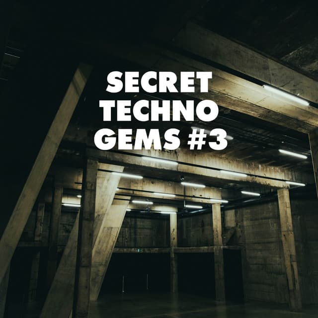 Image of Secret Techno Gems #3