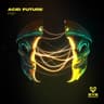 Acid Future cover