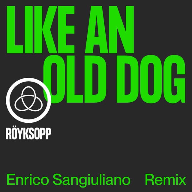 Cover Image of release - Like an Old Dog (Enrico Sangiuliano Remix)