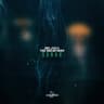 Sonar cover