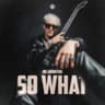 So What (Techno Remix) cover