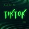 TikTok Ravehits 2025 cover