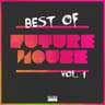 Best of Future House Vol. 1 cover