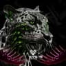 Iliria cover