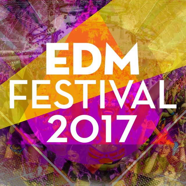 Cover Image of release - EDM Festival 2017
