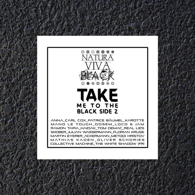 Cover Image of release - Take Me to the Black Side 2