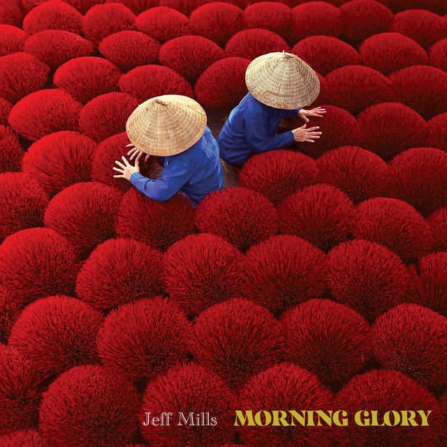 Cover Image of release - Morning Glory