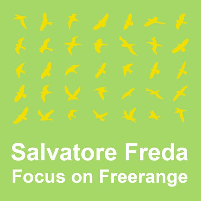 Cover Image of release - Salvatore Freda: Focus On Freerange