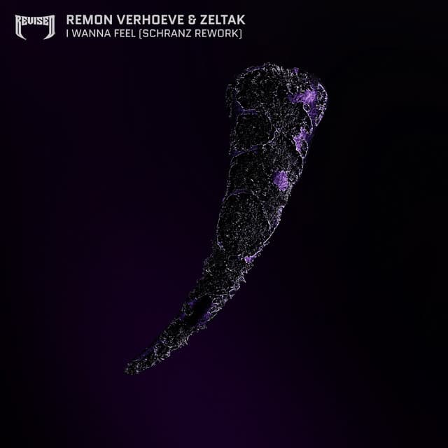 I Wanna Feel - Schranz Rework