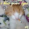 I Kiss Your Lips cover