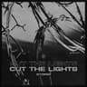 Cut The Lights cover