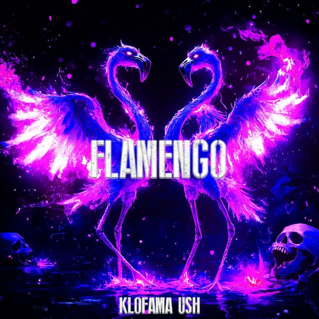 Cover Image of release - FLAMENGO