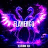 FLAMENGO cover
