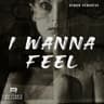 I Wanna Feel cover