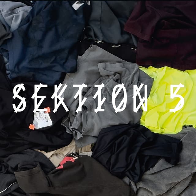 Cover Image of release - SEKTION 5
