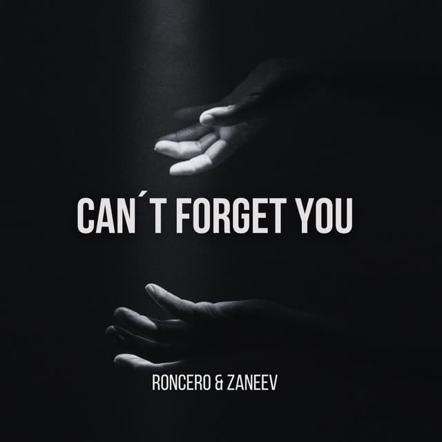 Can´t Forget You - Radio Edit