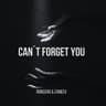 Can´t Forget You (Radio Edit) cover