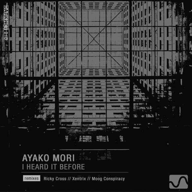 I Heard It Before - Moog Conspiracy Remix