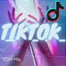 TikTok EDM Mix cover