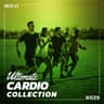 Ultimate Cardio Collection 029 cover