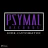 Can't Forget You cover