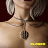 Closer cover