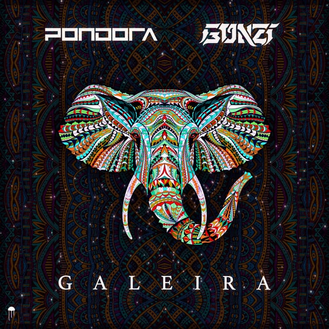 Image of Galeira